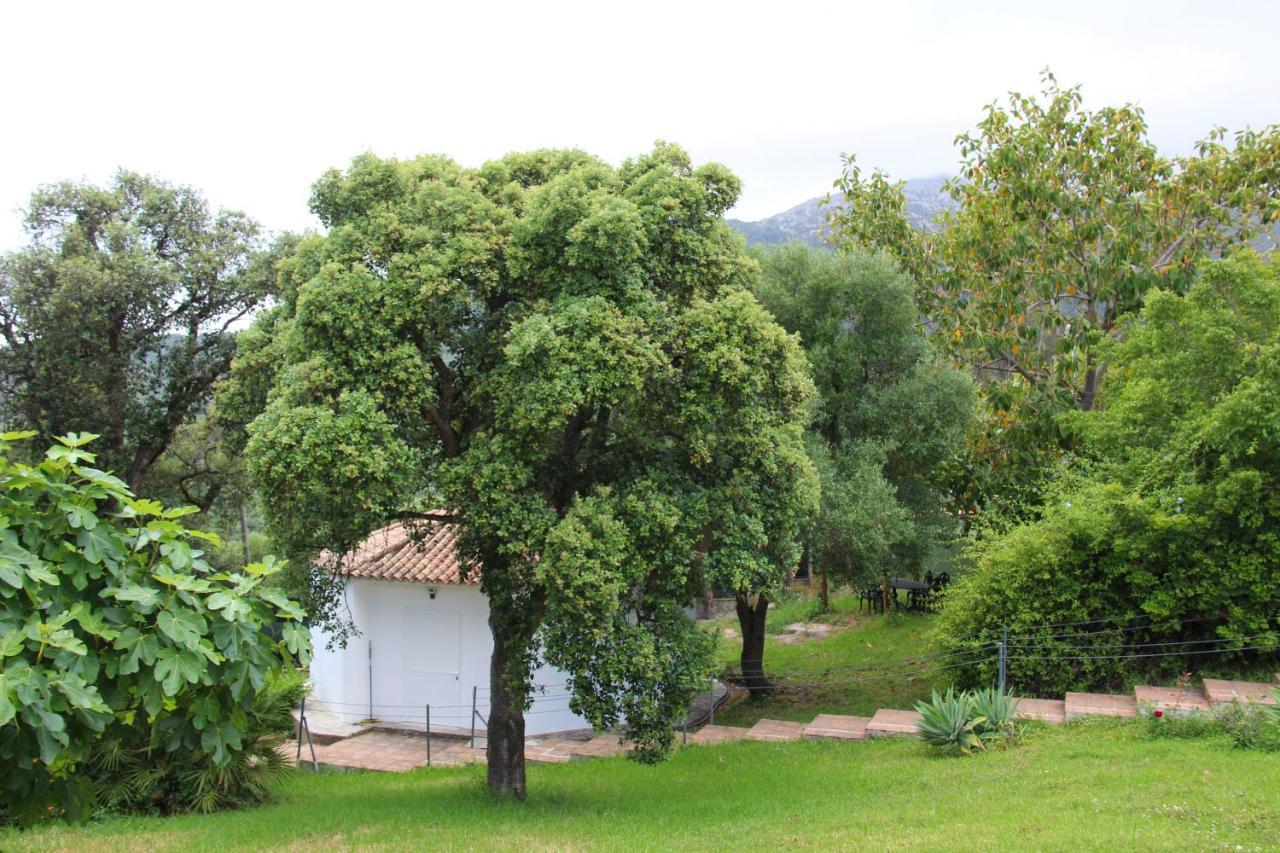 Finca El Campo Algeciras Dış mekan fotoğraf
